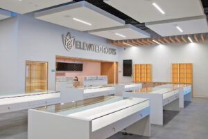 Elevated Roots Abington Interior Logo Wall