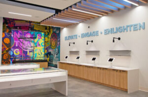 Elevated Roots Abington Interior Nostalgia Feature Wall