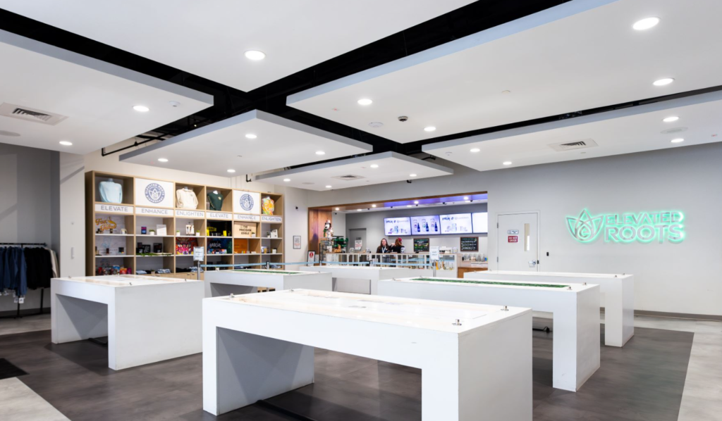 Elevated Roots Kingston