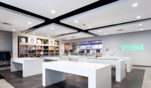 Elevated Roots Kingston