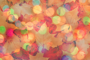 McGrath Fall Preview Background 2026