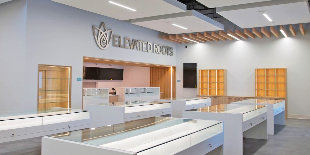 Elevated Roots Abington Interior Logo Wall