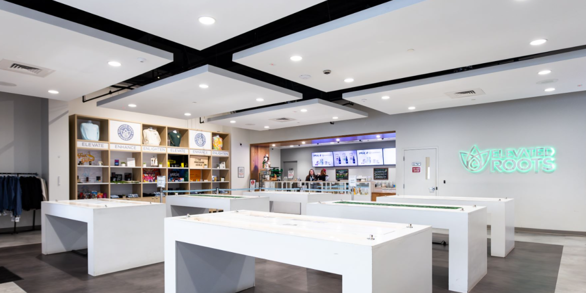 Elevated Roots Kingston