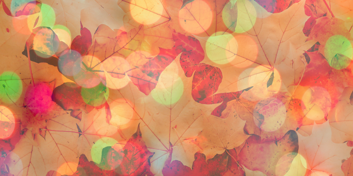 McGrath Fall Preview Background 2026